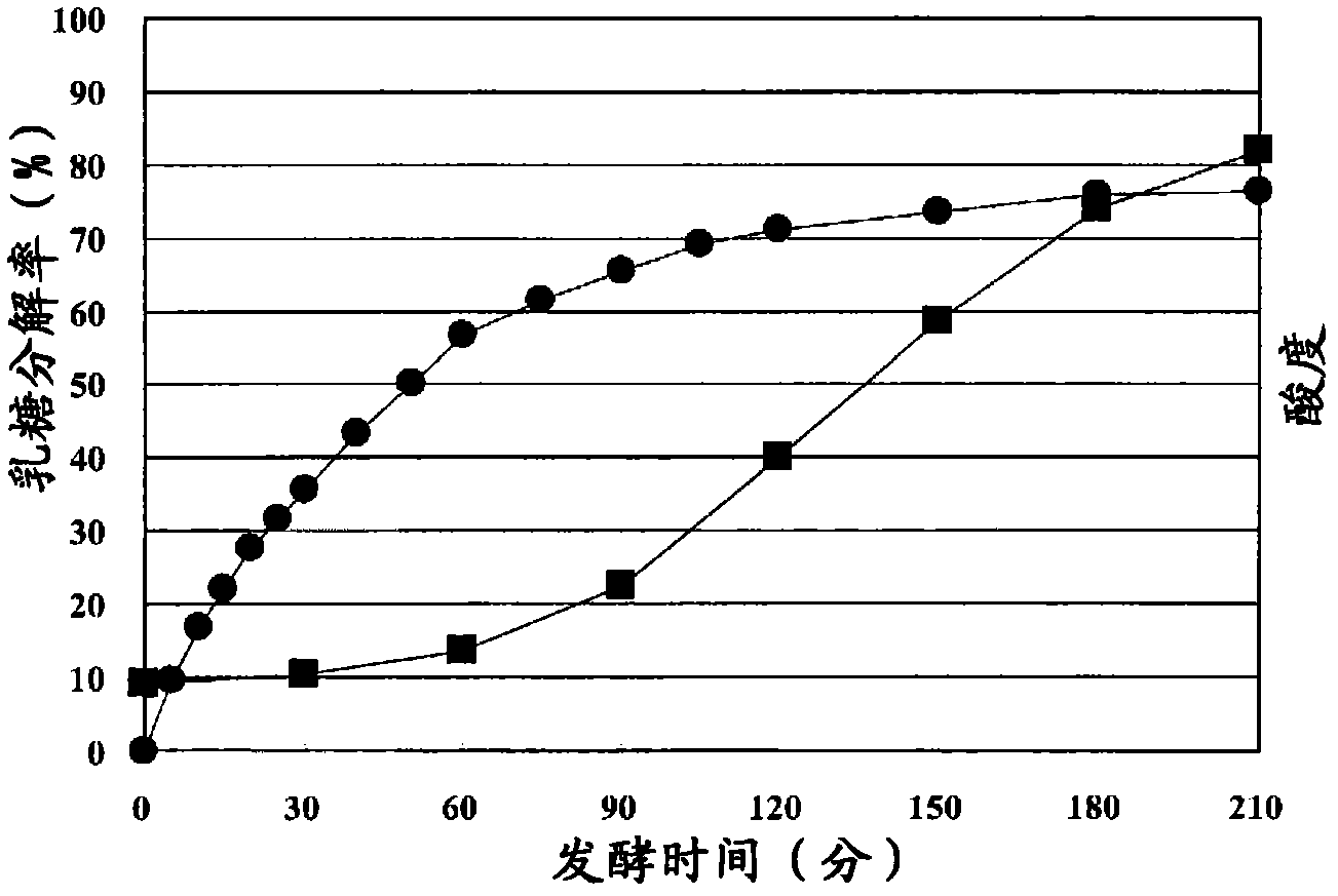 Cultured milk with low lactose content and method for manufacturing same