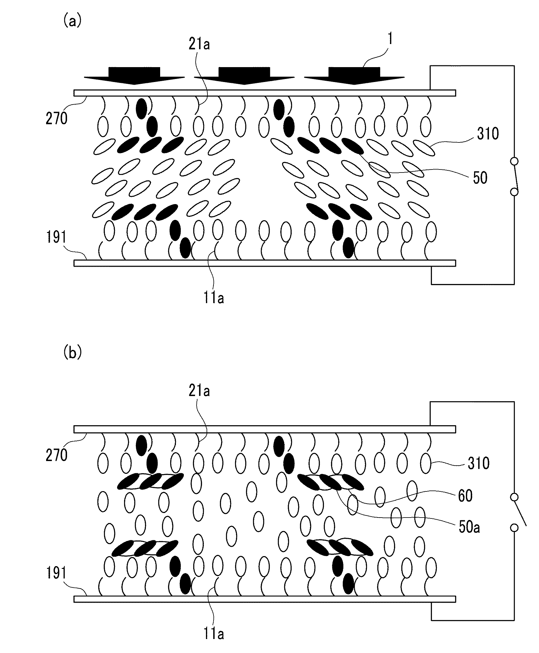 Liquid crystal display