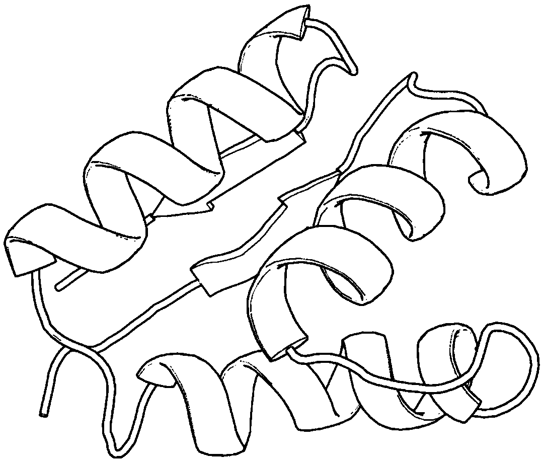 Protein two-phase conformational space optimization method based on dihedral angle entropy