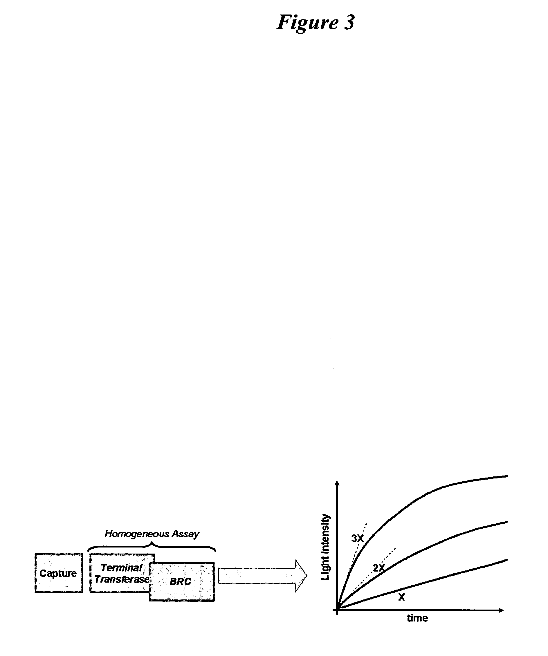 Nucleic acid detection and quantification using terminal transferase based assays