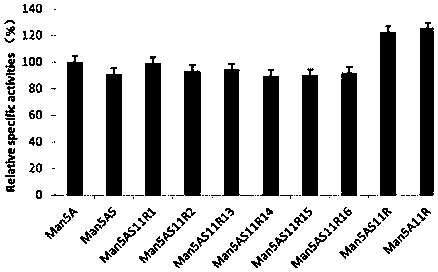 Beta-mannase mutant Man5AS11R with improved heat resistance and specific activity and encoding gene thereof