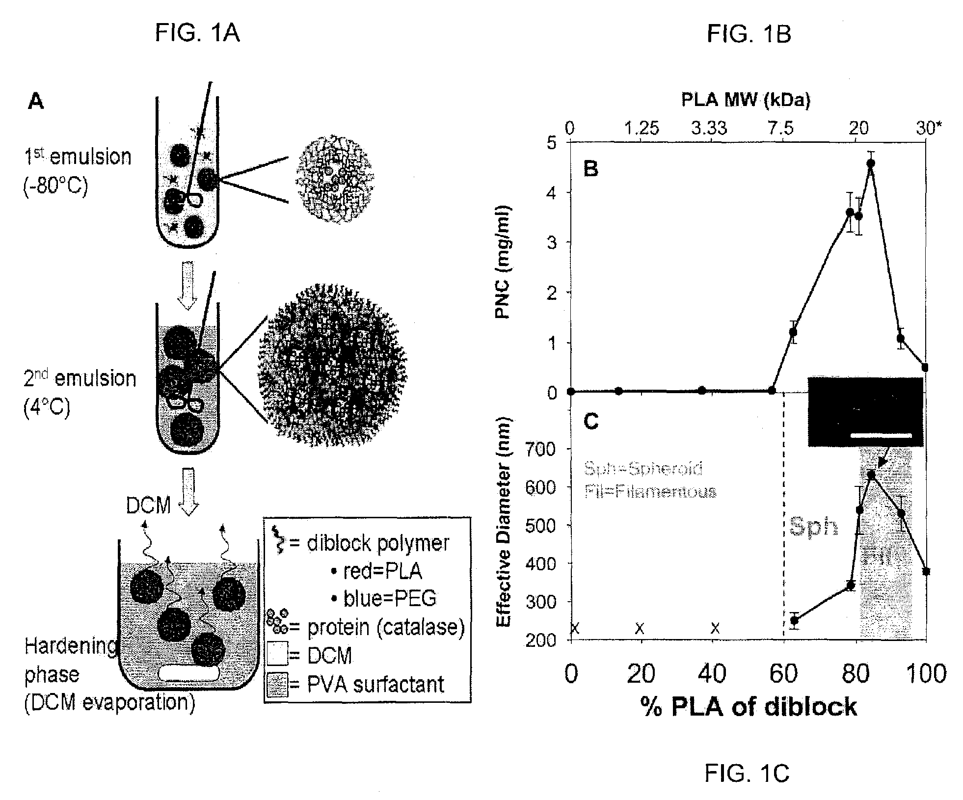 Method and compositions for polymer nanocarriers containing therapeutic molecules