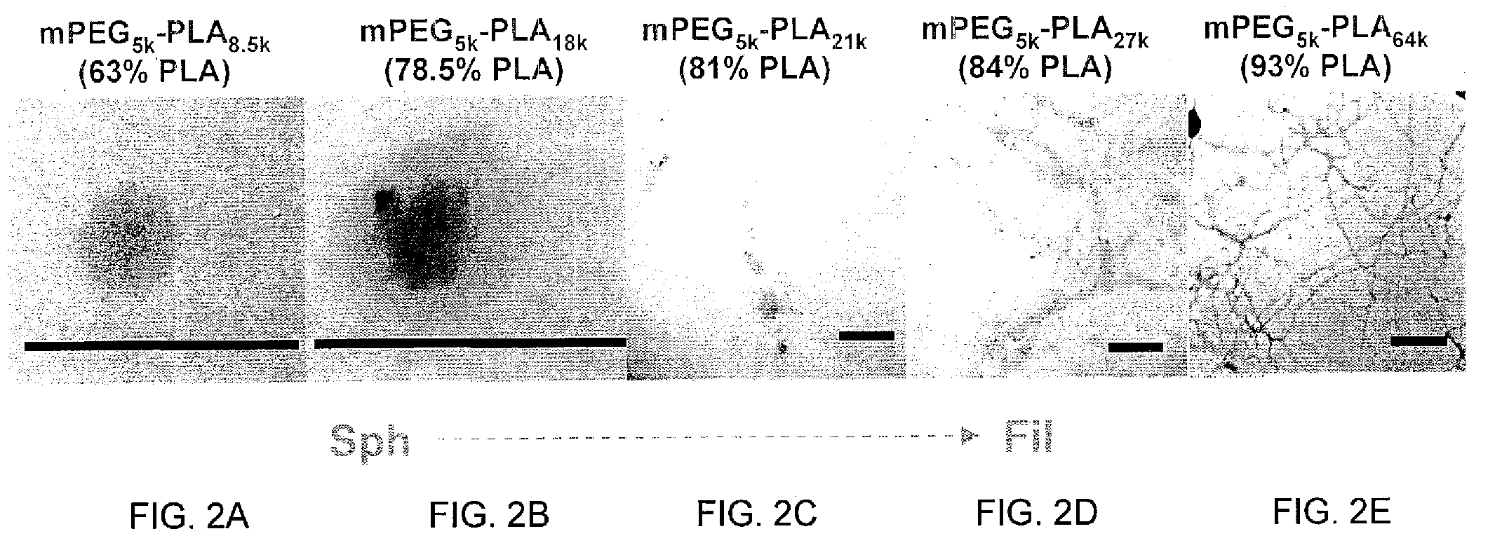 Method and compositions for polymer nanocarriers containing therapeutic molecules