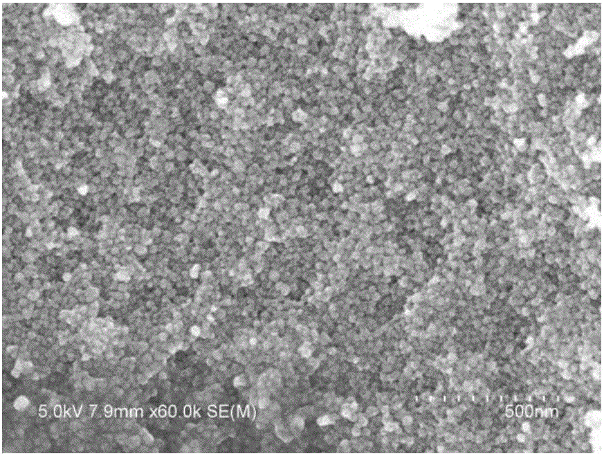 Preparation method of magnetic immobilized lipase capable of being used in organic media