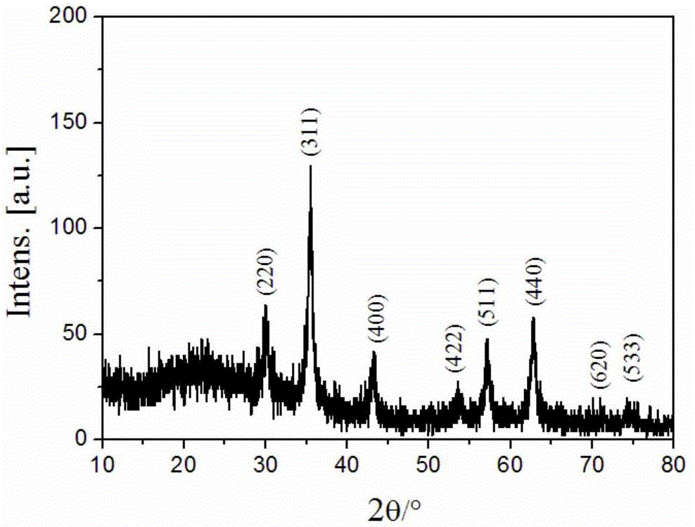 Preparation method of magnetic immobilized lipase capable of being used in organic media