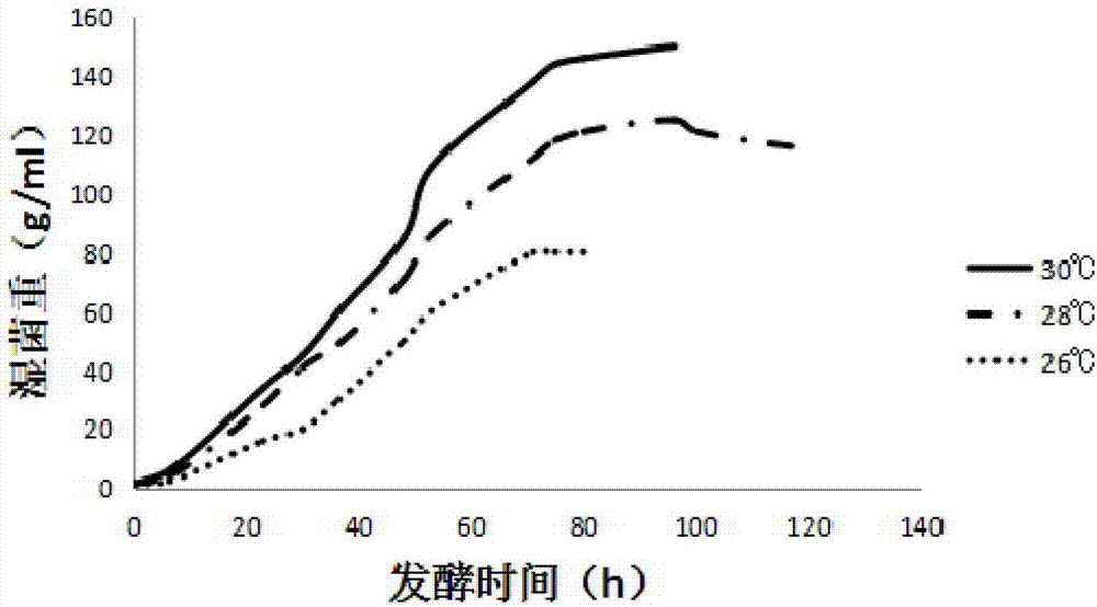 Engineering strain expressing beta-mannase as well as fermenting method and enzymolysis method thereof