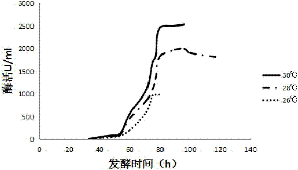 Engineering strain expressing beta-mannase as well as fermenting method and enzymolysis method thereof