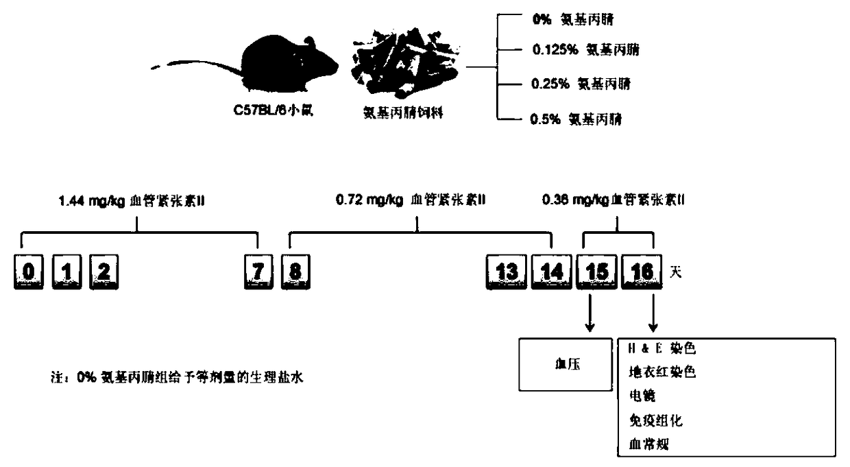 Diagnosis and treatment application of mononuclear/phagocyte cells to aortic injuries