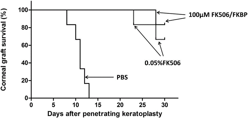 FK506 compound/FKBP protein dimer containing pharmaceutical composition and preparation method thereof