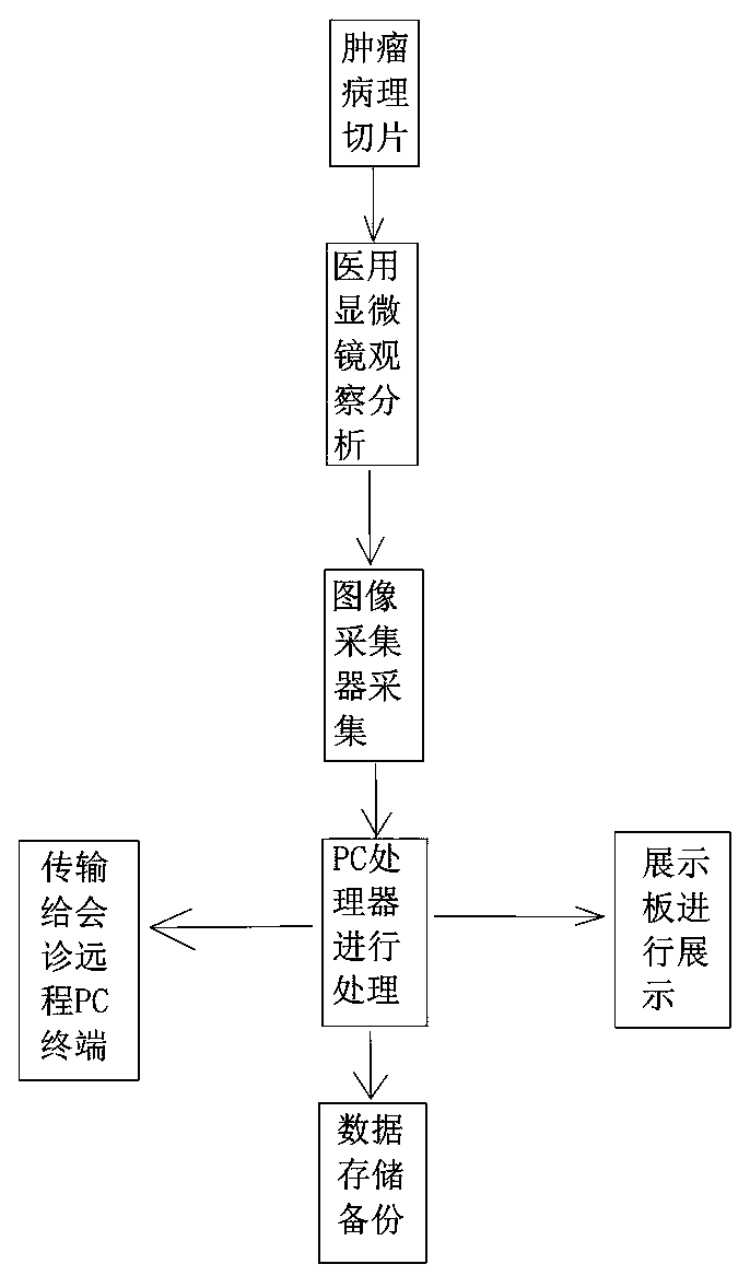 Tumor pathological image display station