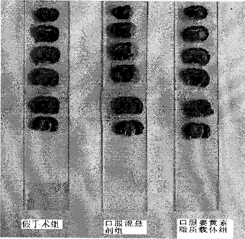 Curcumin lipid carrier and preparation method thereof