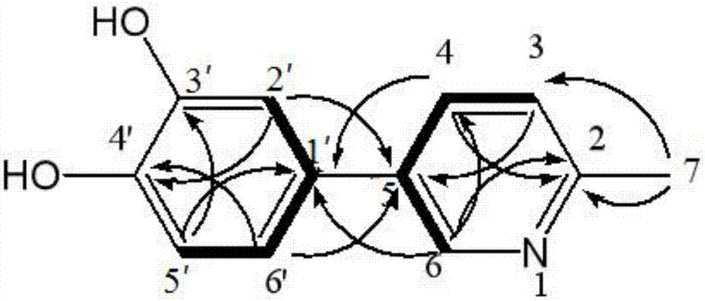 2-methyl-5-(3,4-dihydroxyphenyl)pyridine as well as extraction method and application thereof