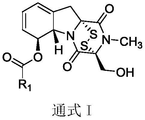 Gliotoxin 6-aromatic ring carboxylate series derivatives and preparation method thereof