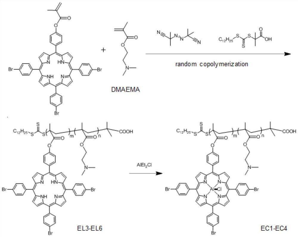 Multifunctional metalloporphyrin complex and preparation method thereof, and preparation method of polycarbonate