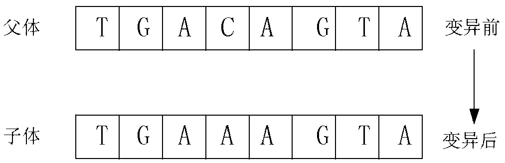 Constant modulus blind equalization processing method based on optimization of DNA shuffled frog leaping algorithm in communication system