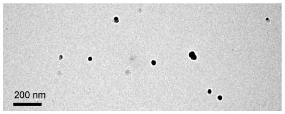 Calcium-containing micro-precipitation lipidosome entrapped with photothermal agent and chemotherapeutic drug as well as preparation method and application of calcium-containing micro-precipitation lipidosome