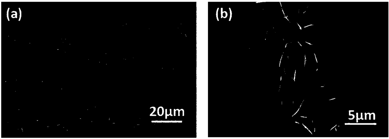 Ternary nickeliron phosphidenanosheet, preparation method thereof and application of electrolytic water