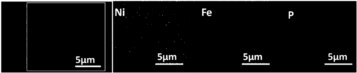 Ternary nickeliron phosphidenanosheet, preparation method thereof and application of electrolytic water