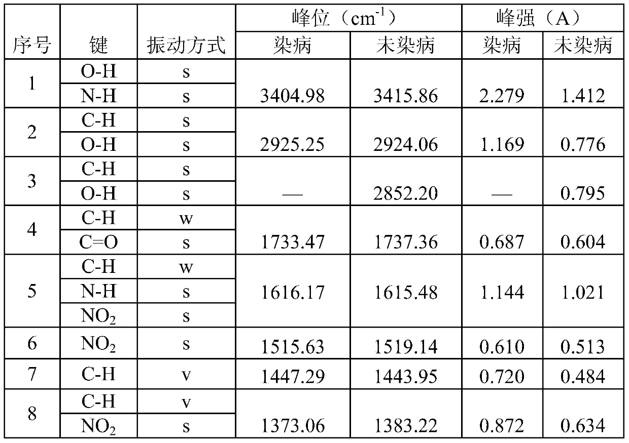 Method for identifying infection condition of gall disease of cryptomeria fortunei