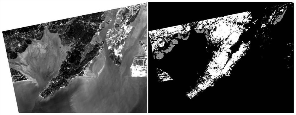A Mangrove Extraction Method Based on Hyperspectral Data