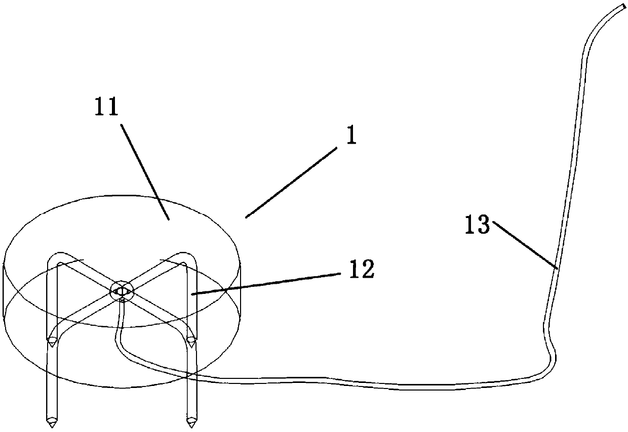 Buckle type skin stretching device and skin stretching method