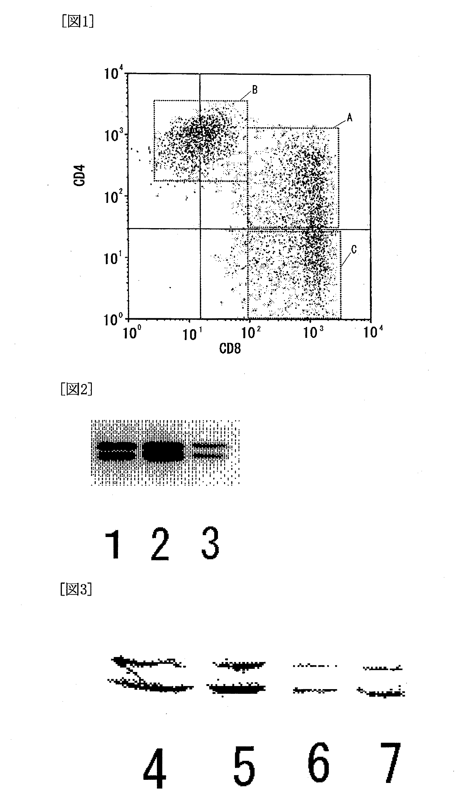 Novel human t-cell population