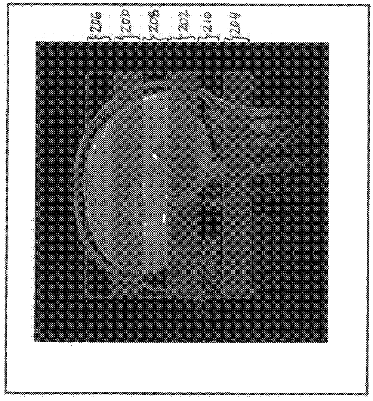 Cine phase contrast simultaneous multi-slice and multi-slab imaging of blood flow and cerebrospinal fluid motion