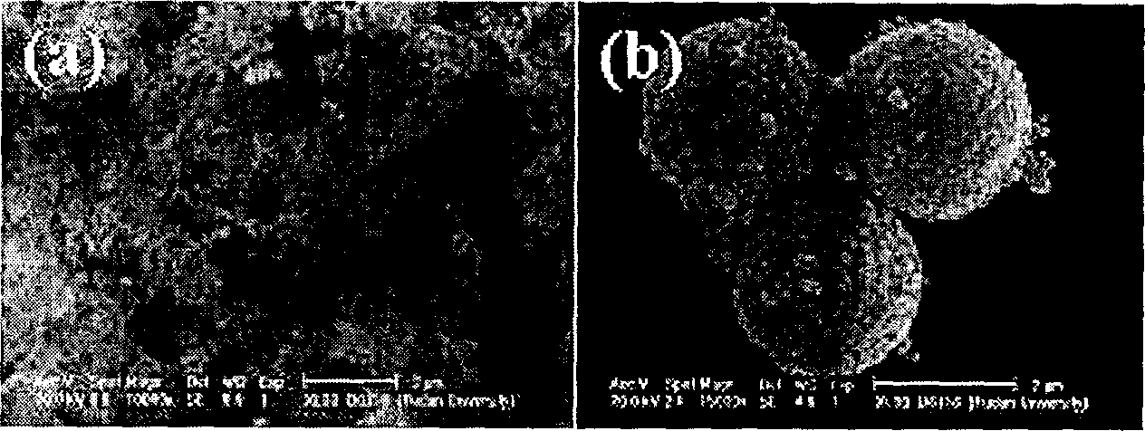 Process for preparing noncrystalline nickel-phosphor-core - shell, hollow shell structure material