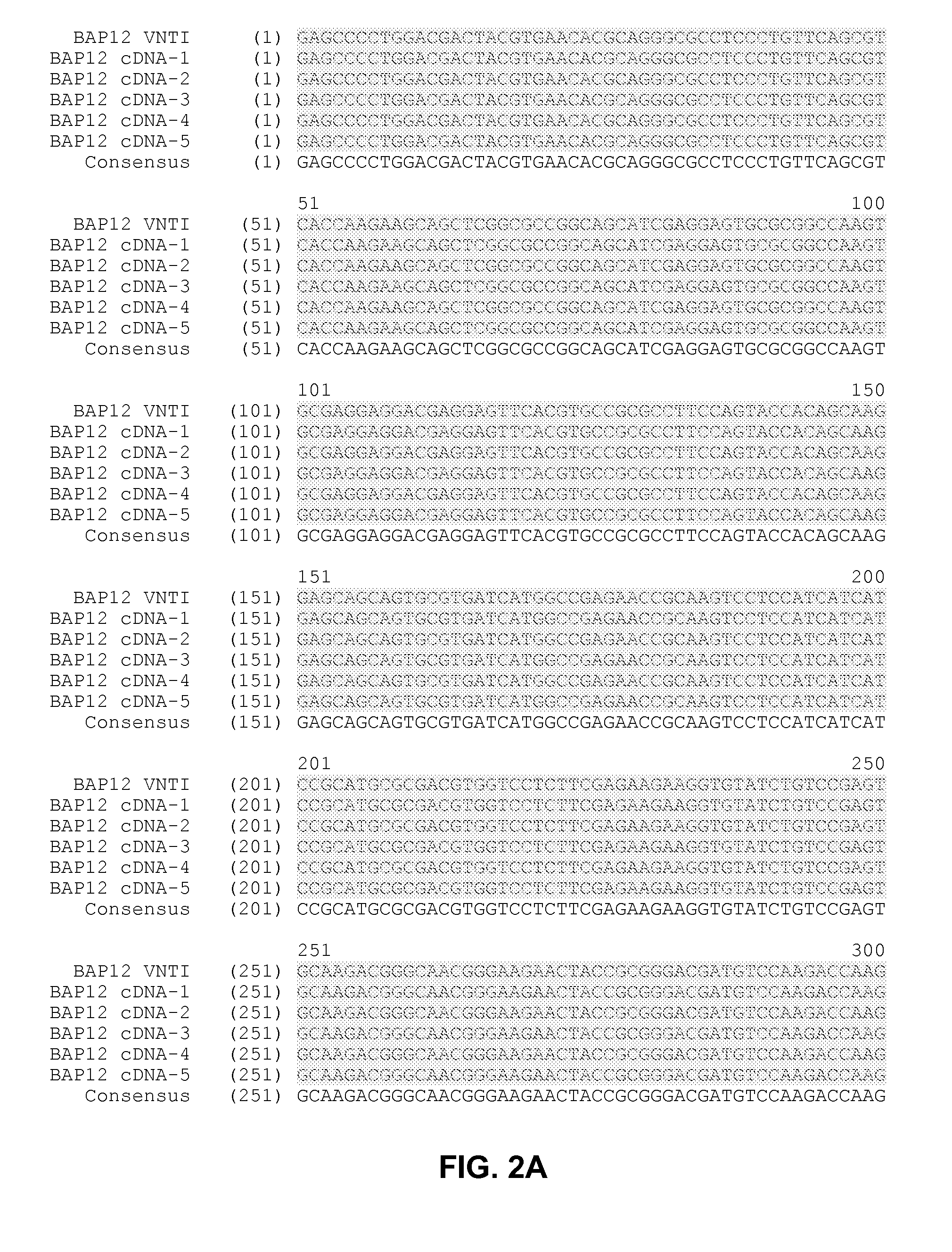 Compositions and methods for production of aglycosylated plasminogen