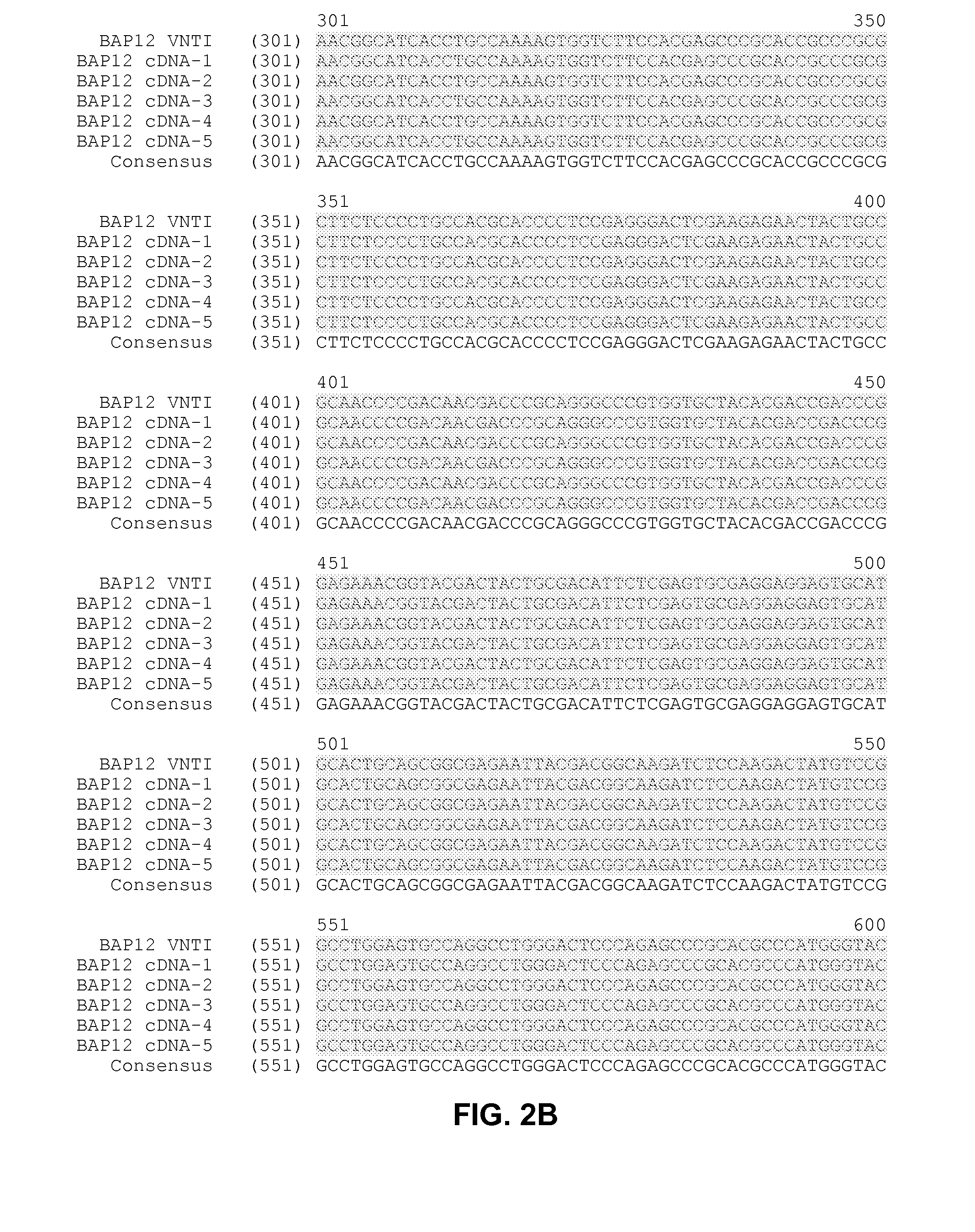 Compositions and methods for production of aglycosylated plasminogen