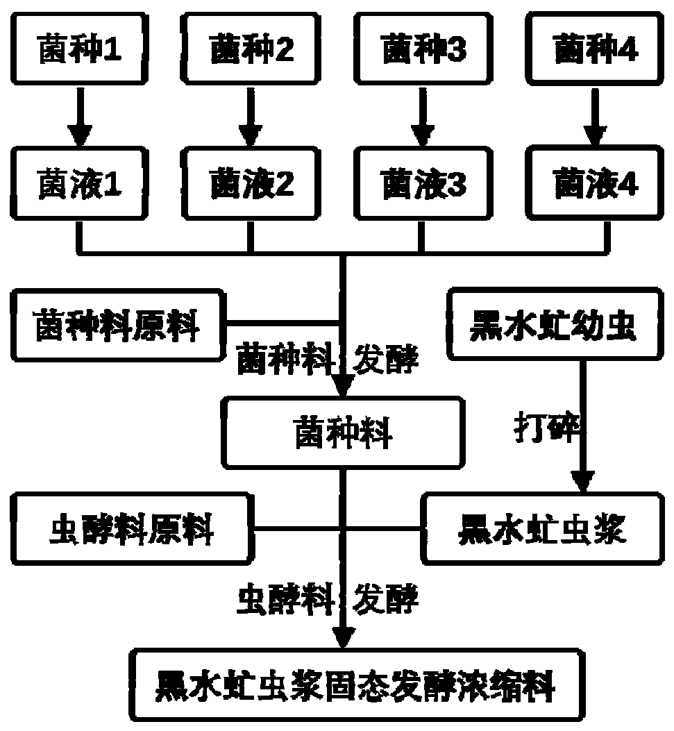 Solid-state fermented concentrated feed containing hermetia illucens pulp and preparation method thereof