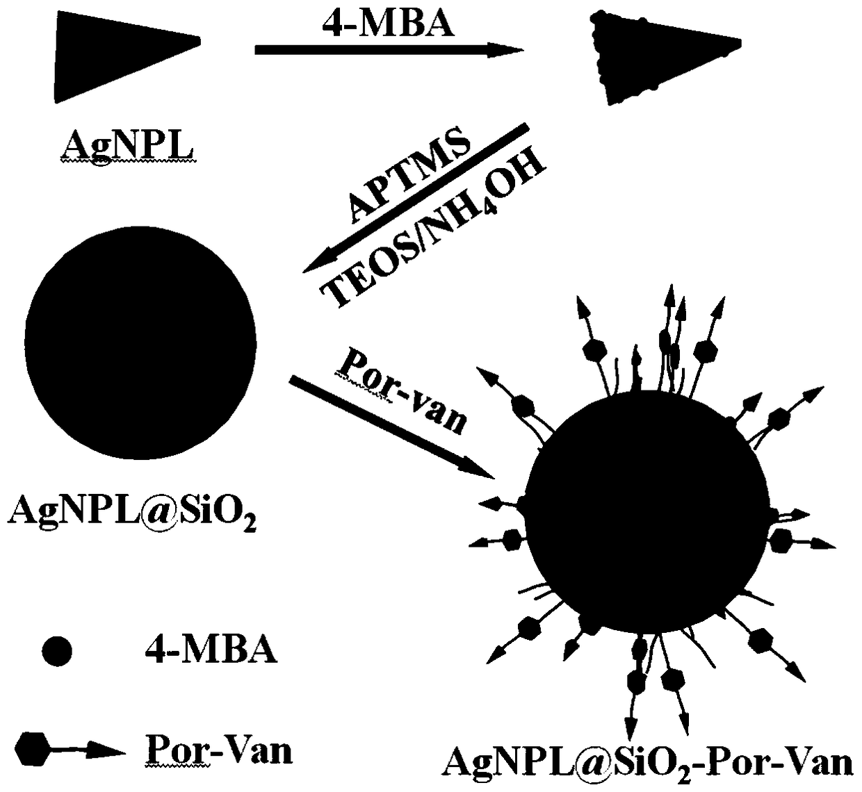 A composite nano-antibacterial material for the treatment of vancomycin-resistant pathogens