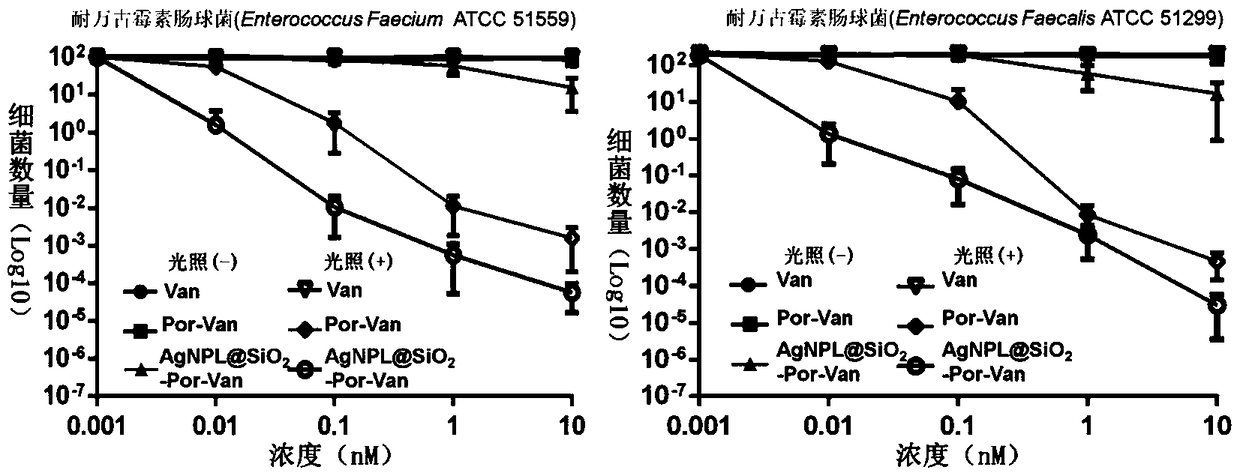 A composite nano-antibacterial material for the treatment of vancomycin-resistant pathogens