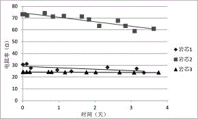 Evaluation method for physical and chemical action of drilling fluid and shale formation