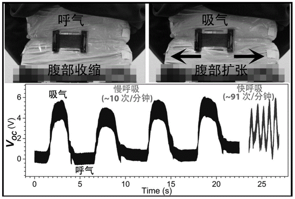 Flexible sensor for detecting human body motion and production method of flexible sensor