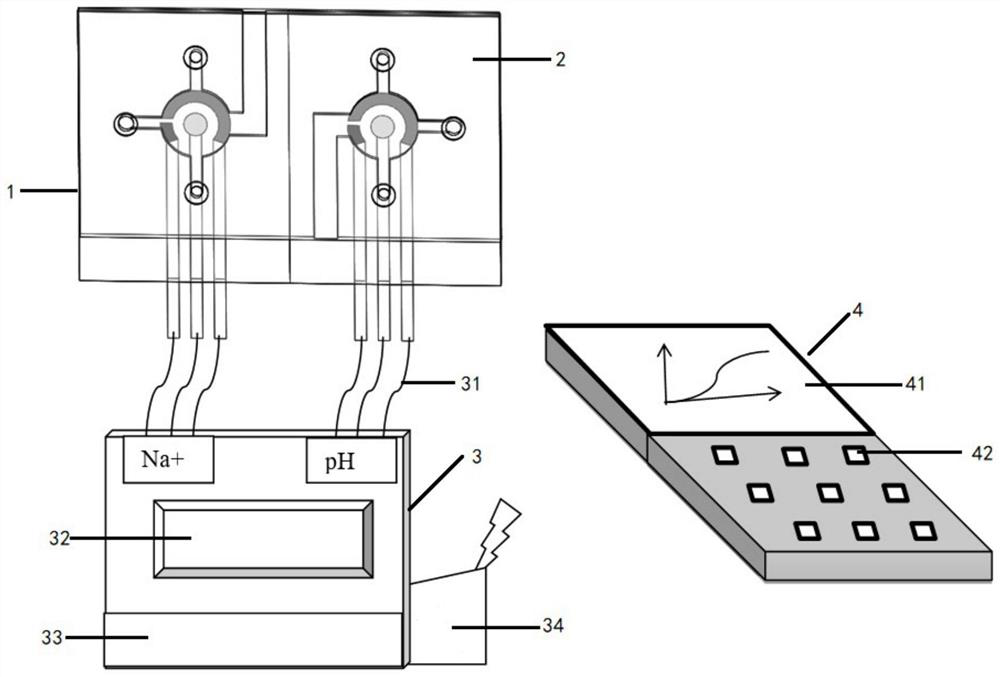 Wearable sweat detection system and method and wearable equipment