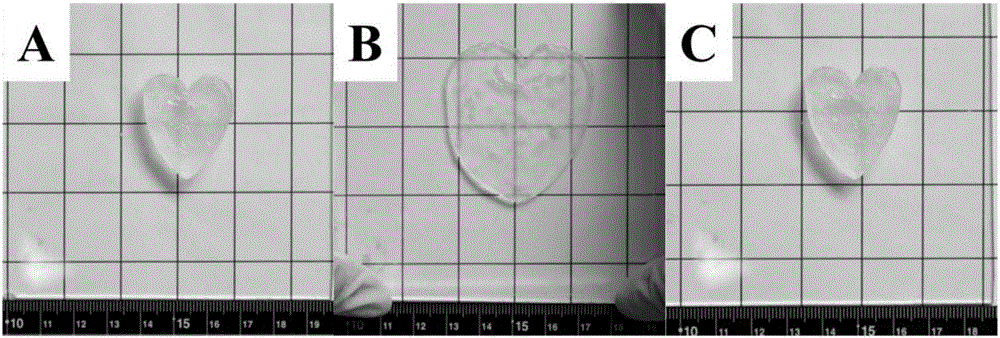 Double-network hydrogel based on PEG (polyethylene glycol) and polysaccharides as well as preparation method and application of double-network hydrogel