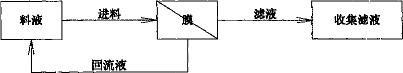 High ORAC value oligomeric proanthocyanidin and purifying method for the same