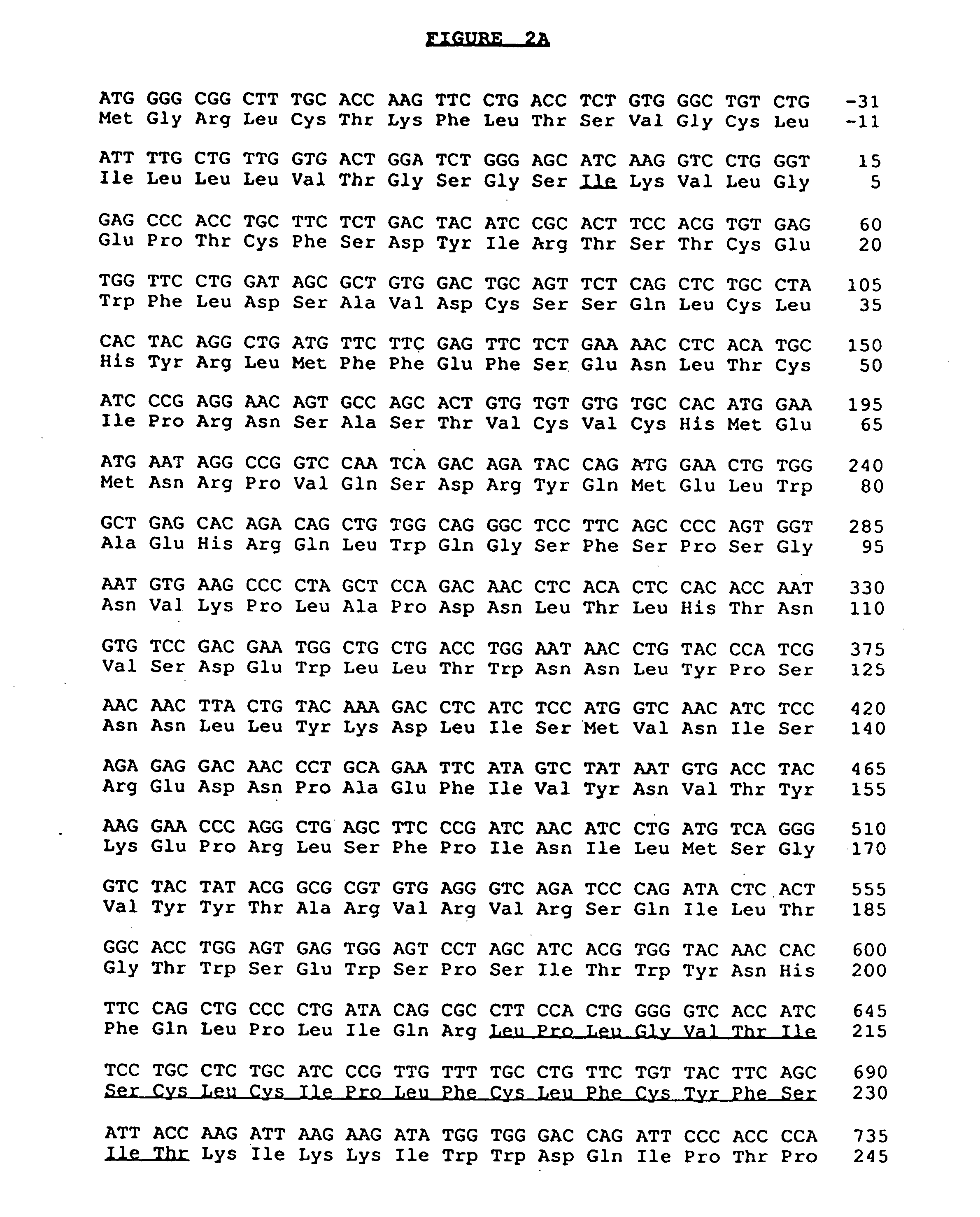 Antibodies to interleukin-4 receptors and uses thereof