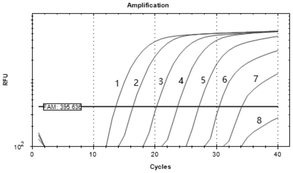 Procypris rabaudi real-time fluorescent PCR (polymerase chain reaction) amplification primer, probe and detection method based on environmental DNA (deoxyribonucleic acid)