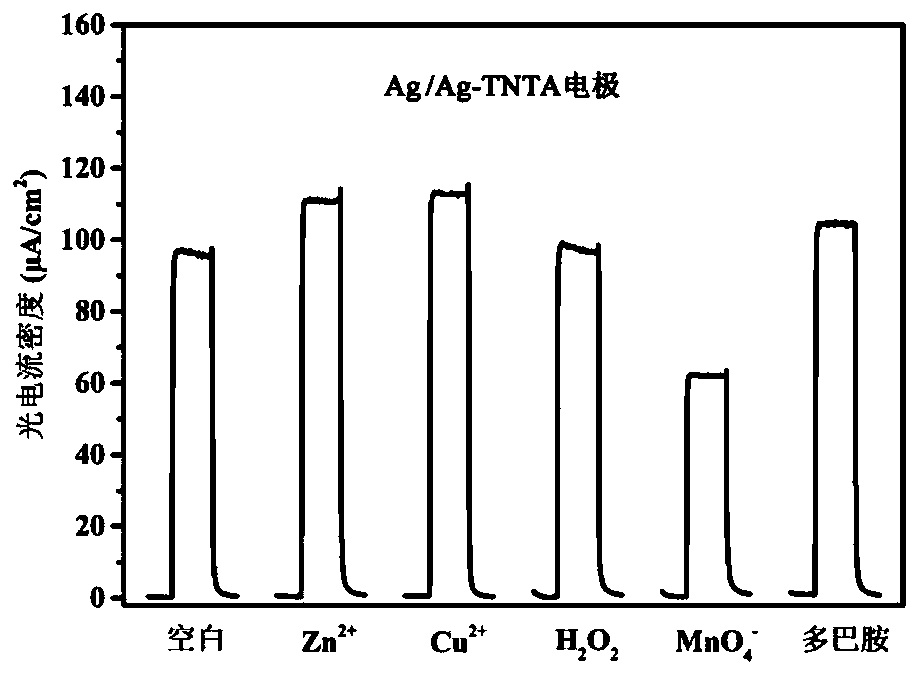 Preparation method of titanium oxide nanotube array-based photoelectrochemical detection electrode