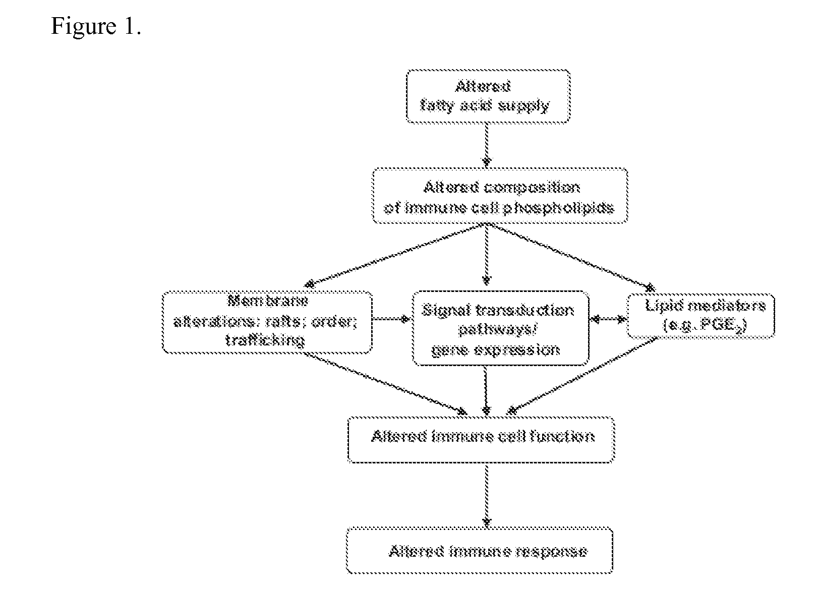 Nutritional support of the immune system during Anti-cancer treatment