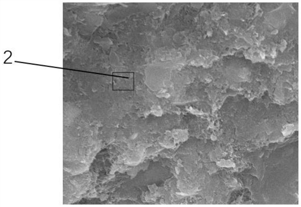 Cement admixture for inhibiting alkali-aggregate reaction and preparation method thereof