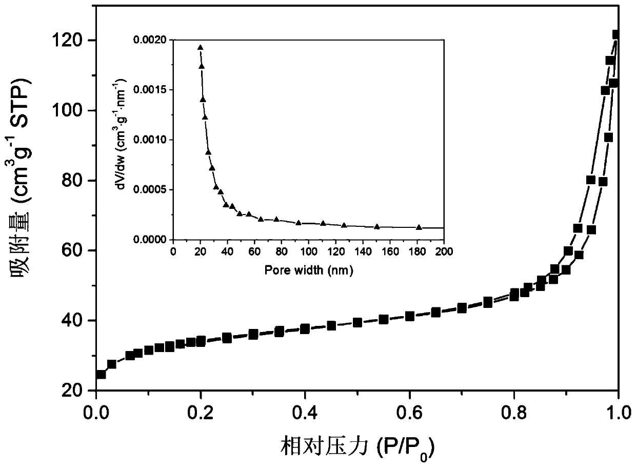 Monatomic Ir denitration catalyst based on TiO2 mesocrystals and preparation method thereof