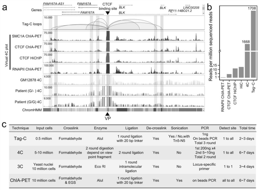 Chromatin conformation capturing method