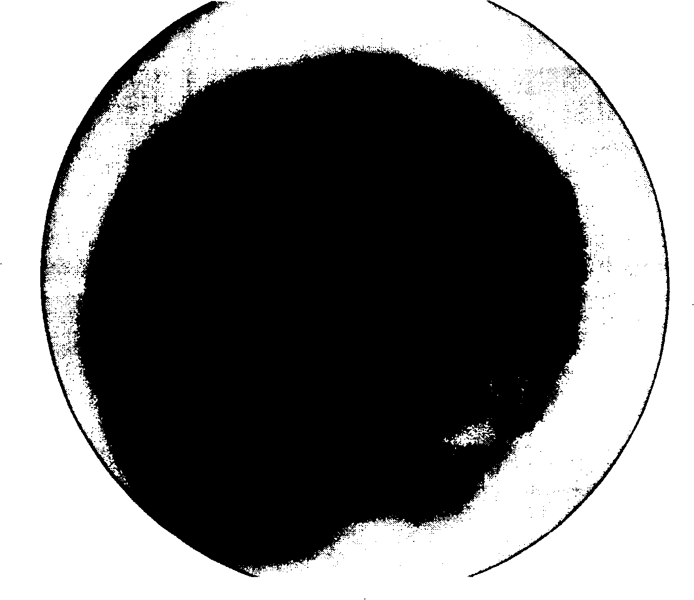 Solid composite microbe microsphere for soil rehabilitation and its preparation method