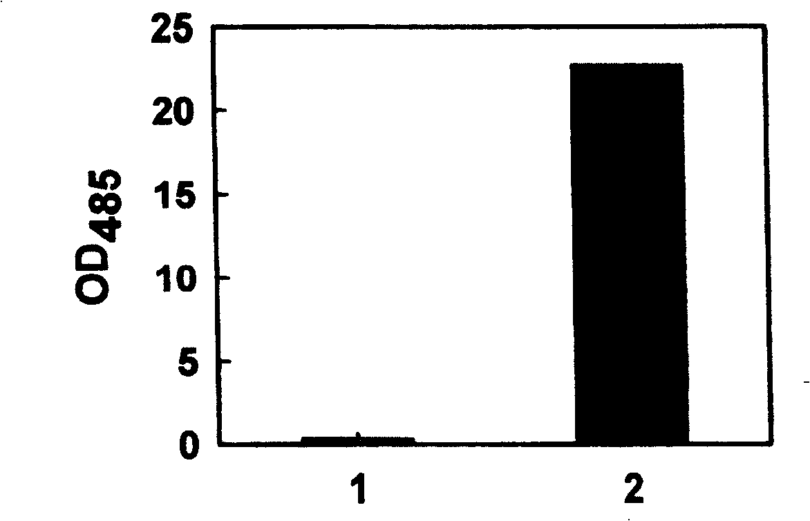 Solid composite microbe microsphere for soil rehabilitation and its preparation method