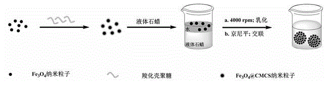 A mesoporous magnetic polymer composite sphere, a preparing method thereof and applications of the composite sphere