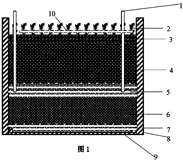 Organic composite soil high-efficiency ecological water purification system