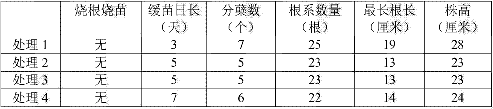 One-time special fertilizer for paddy rice and corn in southwest regions, and applying method thereof